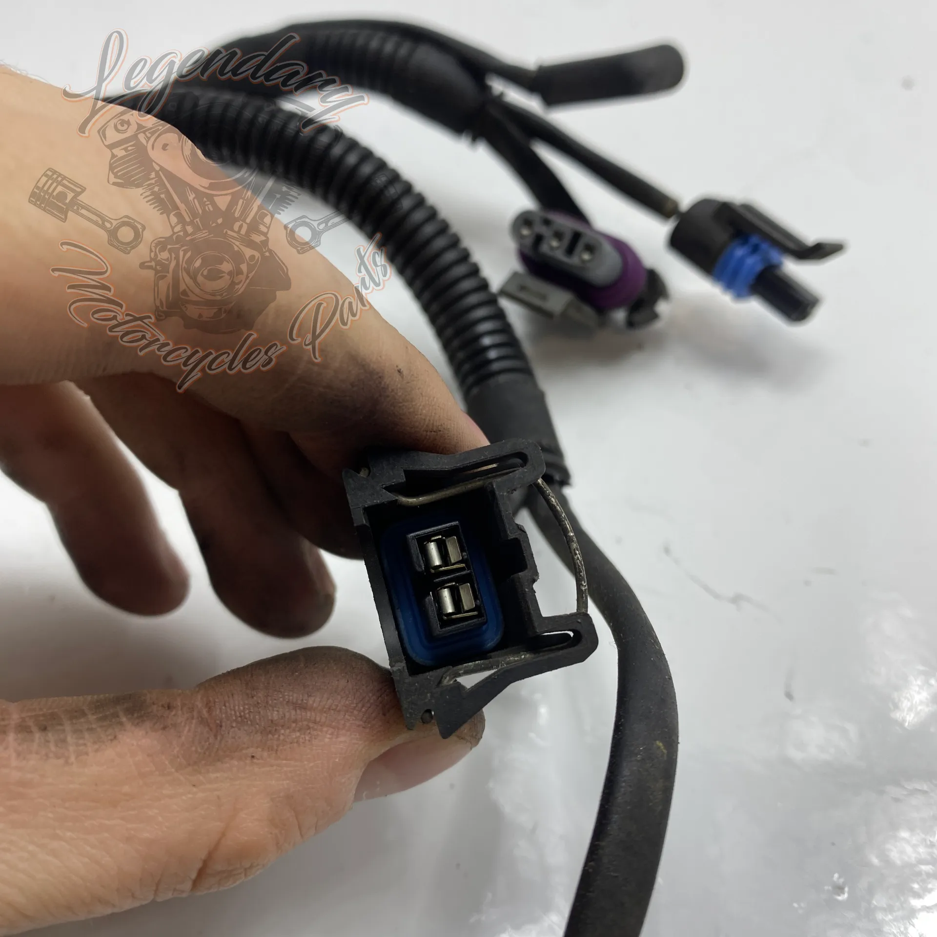 Faisceau Électrique OEM 70155-03